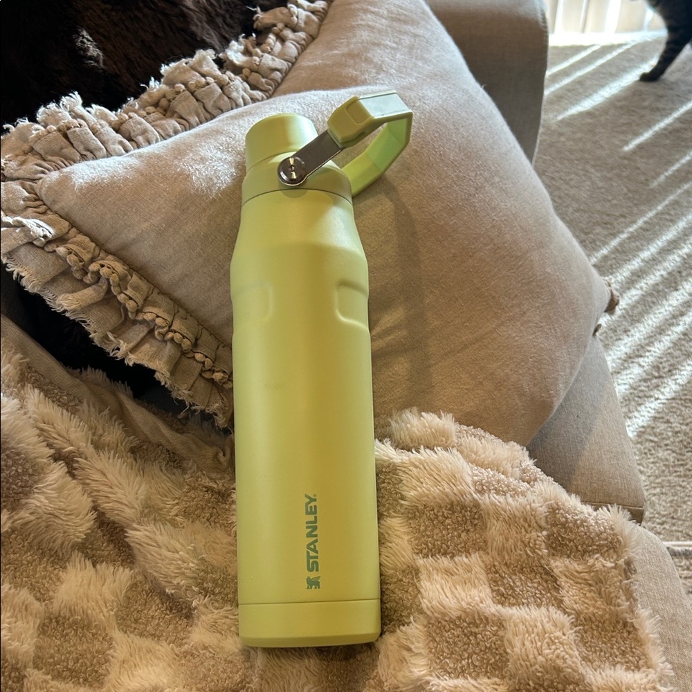 Stanley Mint Green Insulated Bottle
